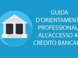 Guida DOrientamento Professionale allAccesso al Credito Bancario