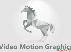 Video Motion Graphics Advanced