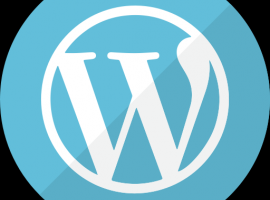 Wordpress SEO e sicurezza