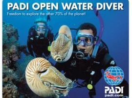 Open Water Diver - Corsi sub Polignano