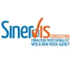 SinerVis Consulting Formazione professionale ICT