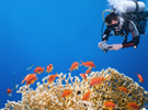Corsi subacquei - discovery scuba diver